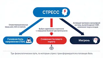 Головная боль при стрессе: почему нервы вызывают боль в голове и что делать?